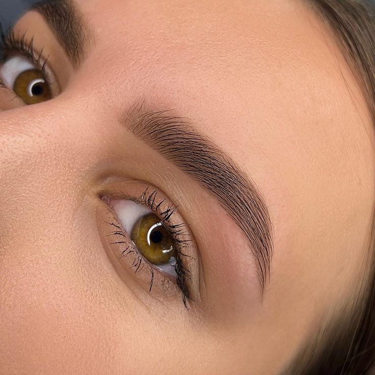 Eyebrows & Eyelashes Tint